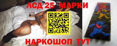 spice Бердск