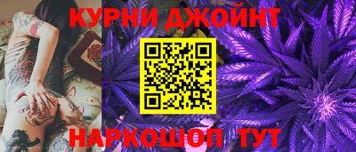 spice Бердск