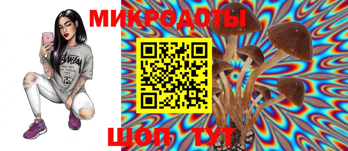 Псилоцибиновые грибы Psilocybe Воркута