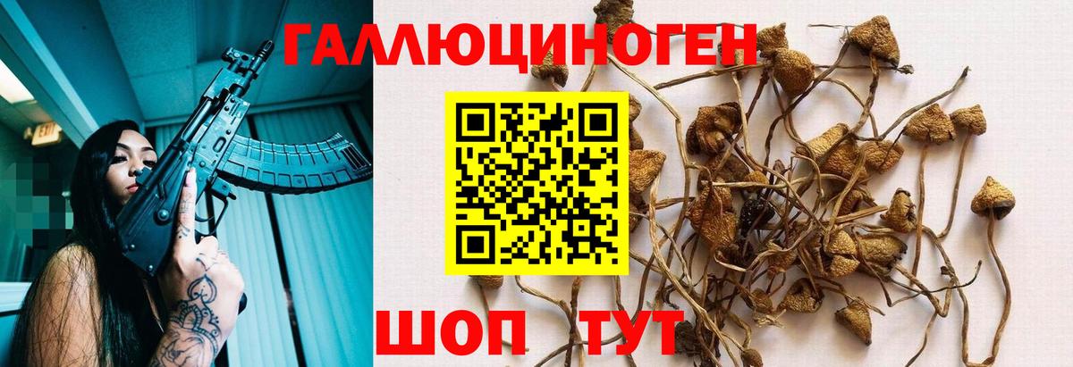 Воркута  продажа наркотиков  Вход с VPN  Галлюциногенные грибы прущие грибы 